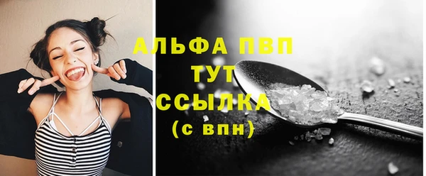 PSILOCYBIN Аркадак