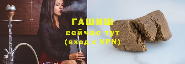 PSILOCYBIN Аркадак