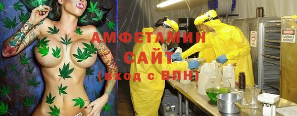 PSILOCYBIN Аркадак
