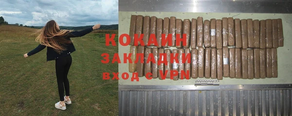 ПСИЛОЦИБИНОВЫЕ ГРИБЫ Арсеньев