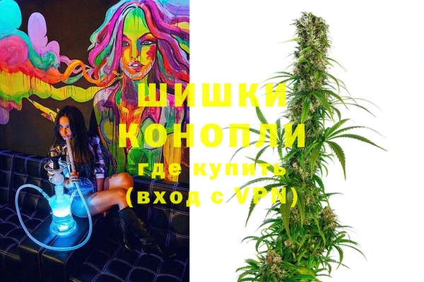 PSILOCYBIN Аркадак