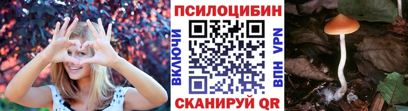 KRAKEN tor  Петухово  Псилоцибиновые грибы Psilocybe 
